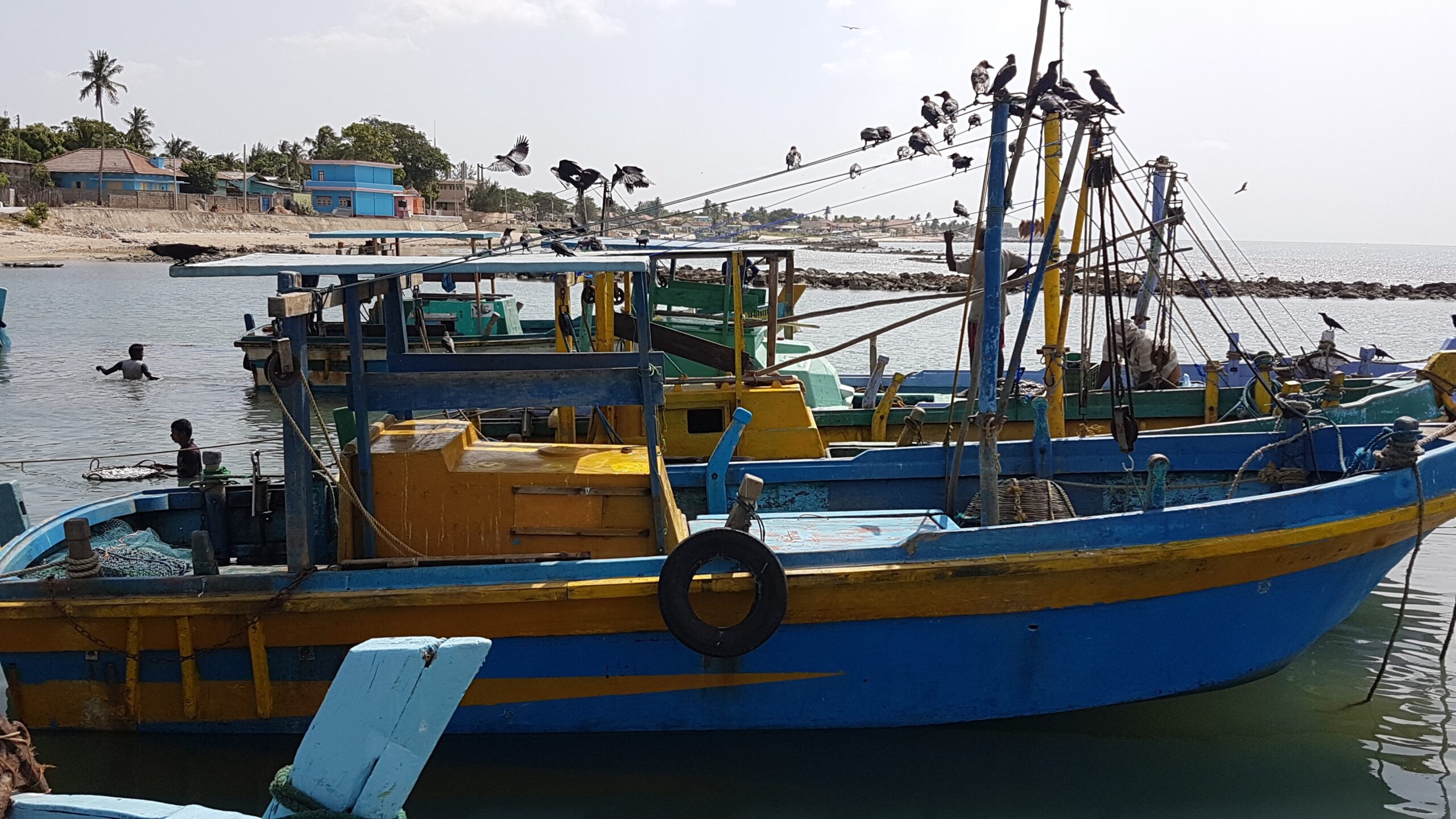 The Epics of the Ocean: The History of Valvettithurai Harbour 20160814 144317